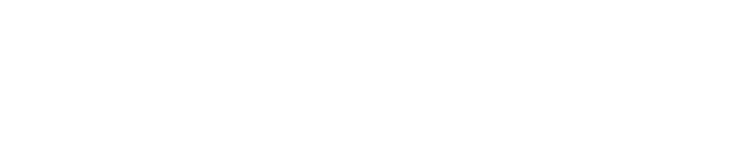 ES-H-Financiado por la UE WHITE