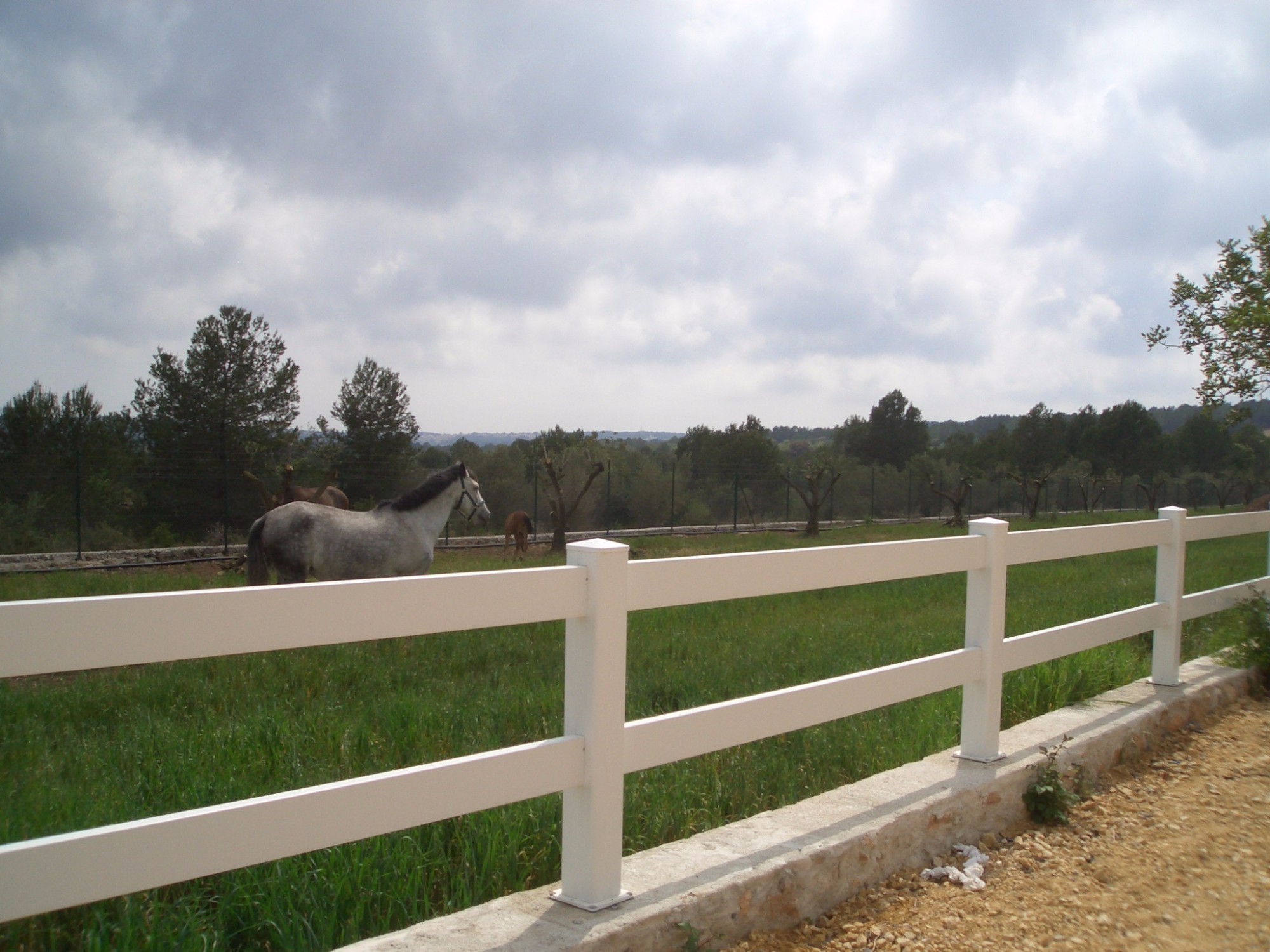 Cercado Post-Rail - Imagen 2