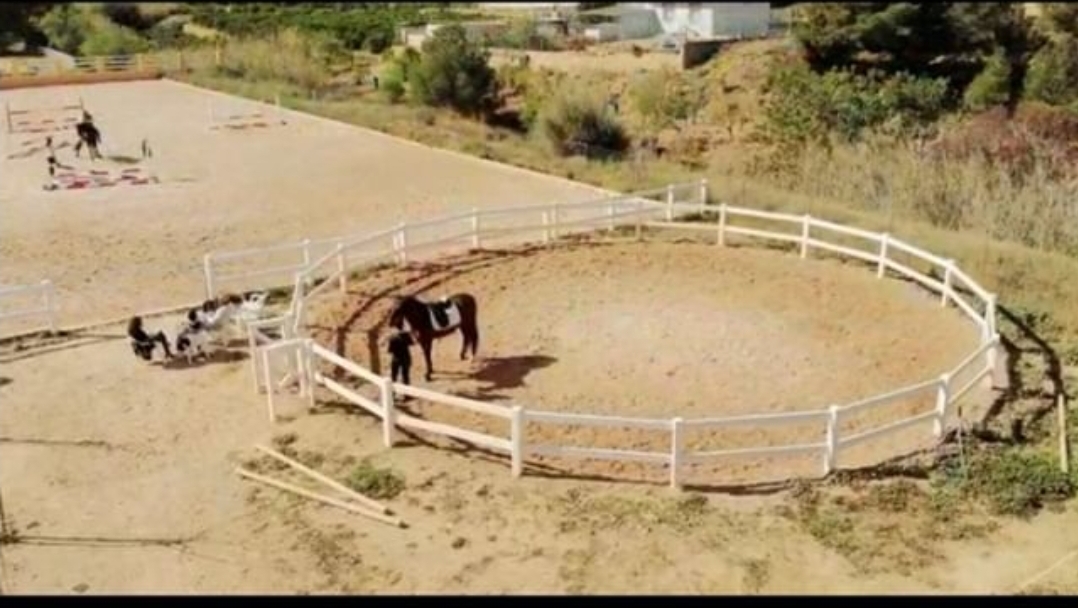 Cercado Post-Rail - Imagen 16